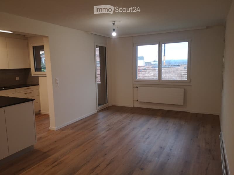 Empty room with wooden flooring, white walls, and large windows offering a view of rooftops. Features a small kitchen area with cabinets and a countertop on the left side.