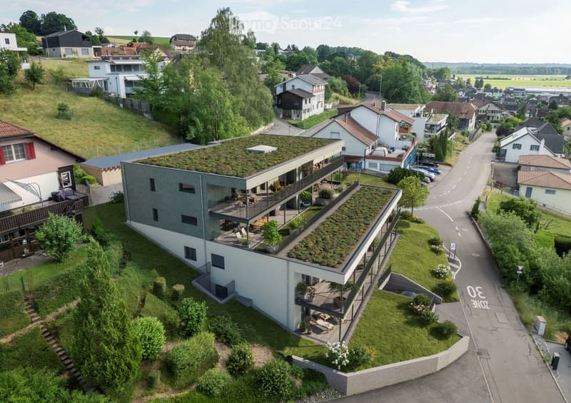 A modern two-story house with a green roof, surrounded by a well-maintained garden and located in a suburban neighborhood with other houses and trees.