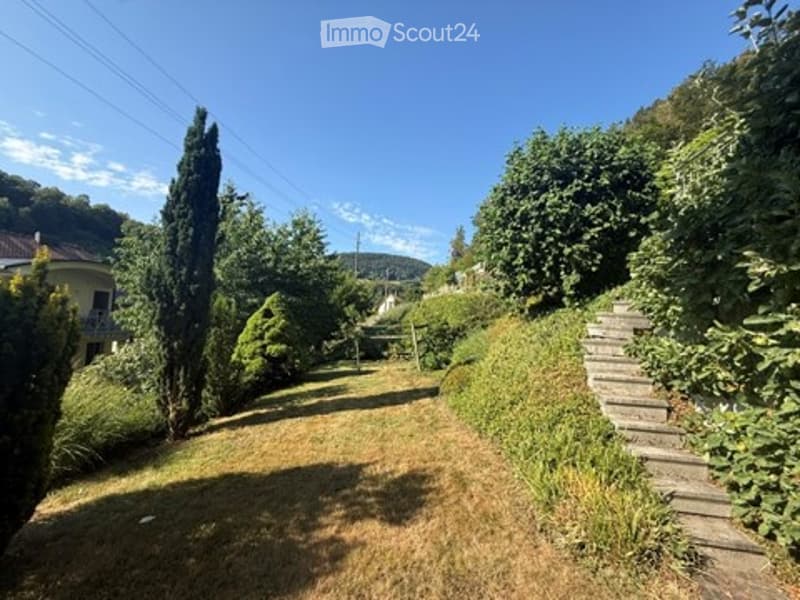 A well-maintained garden with a grassy lawn, tall trees, and a stone staircase leading up a slope.