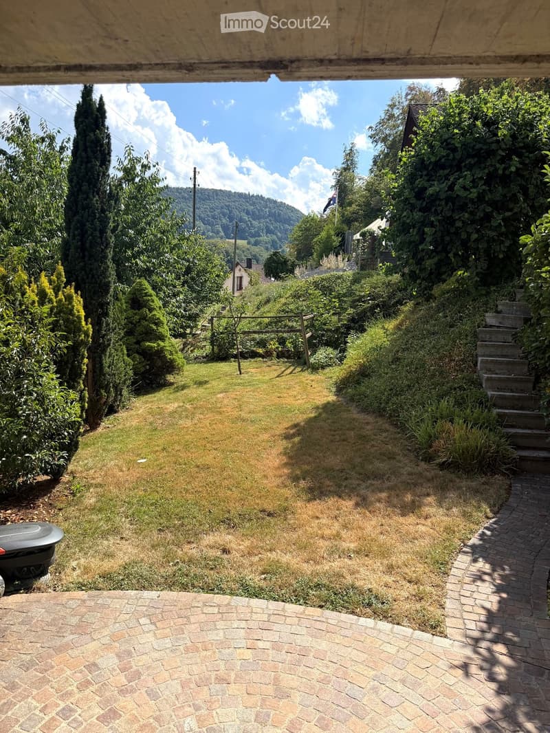 A well-maintained garden with a mix of green and brown grass, surrounded by trees and shrubs. A paved pathway leads to a set of stone steps, with a small structure visible in the background.