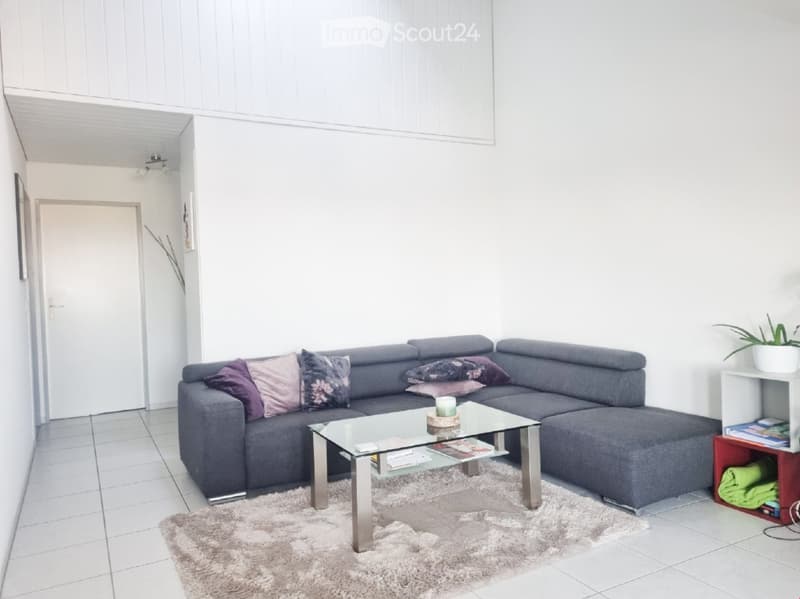 Modern living room with a grey sectional sofa, glass coffee table, shaggy rug, and decorative pillows.