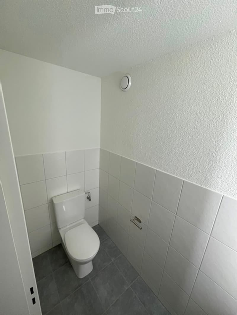 Modern bathroom with white tiled walls and grey tiled floor, featuring a white toilet and a small metal object on the floor.