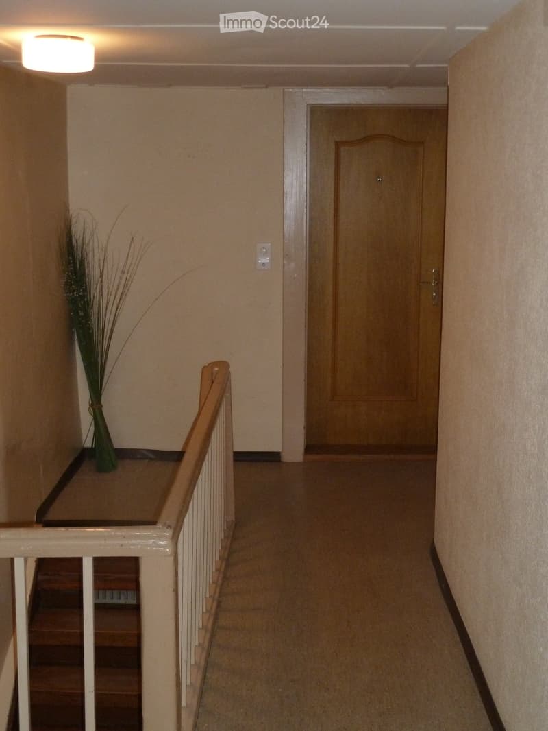 Hallway with beige walls, carpeted floor, wooden door, staircase with wooden railing, and decorative plant in a pot.