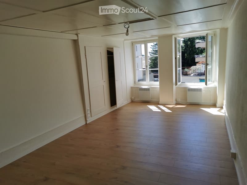 Empty room, wooden floor, white walls, two windows, wardrobe, light fixture on ceiling