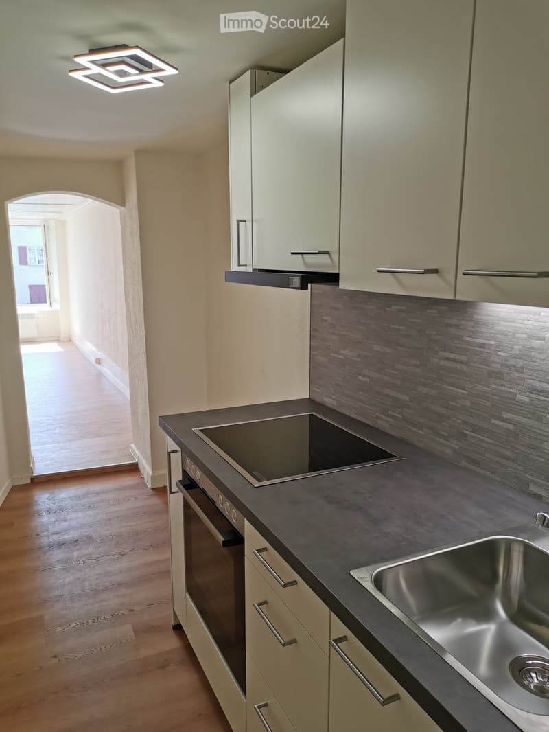 modern kitchen, granite countertops, integrated oven, induction hob, stainless steel sink, built-in dishwasher, white cabinetry, square ceiling lamp