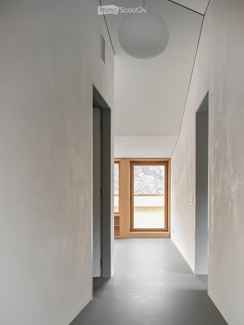 Modern hallway with smooth white walls, grey floor, and a large spherical pendant light. Features a wooden door leading to another room and a window with wooden frame showing a view of the outdoors.
