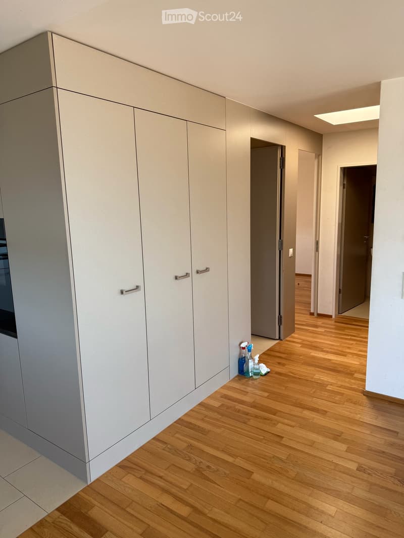Incantevole appartamento attico 2.5 locali a Baar (3)