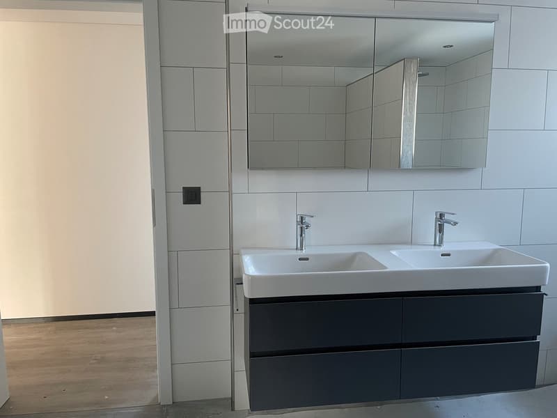 Modern bathroom with a double sink, sleek faucet fixtures, a large mirror, and dark grey cabinetry.