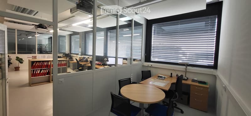 Modern office space with glass partitions, large windows with blinds, desks, chairs, a round meeting table, filing cabinets, and a potted plant.