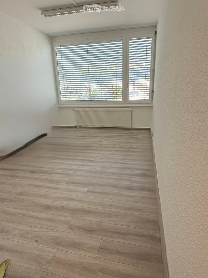 Empty room with light wooden flooring, white walls, large window with blinds, radiator below window, and a long light fixture on the ceiling.