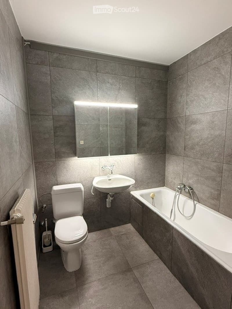 Modern bathroom with dark grey tiles, a toilet, a sink, a bathtub, a mirror, and a radiator.