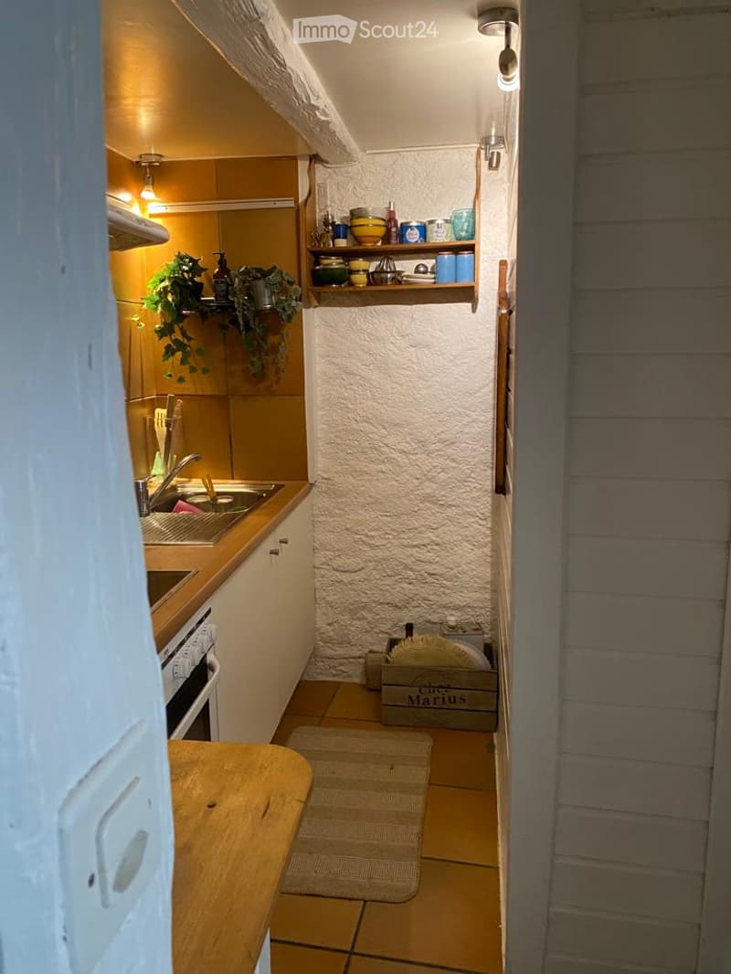 Cozy kitchen with wooden cabinets, a sink, shelves with dishes and plants, and a small table with a rug.