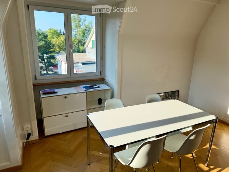 Charmante 3-Zimmer-Altbauwohnung inkl. Parkplatz an ruhiger und zentraler Lage in Zürich (2)