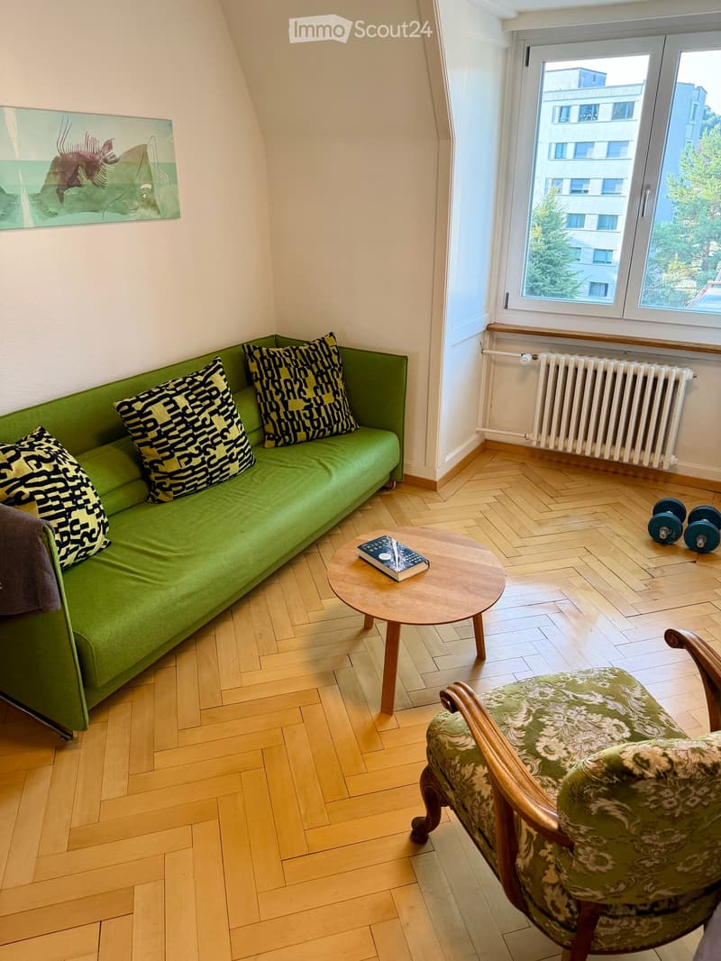 Charmante 3-Zimmer-Altbauwohnung inkl. Parkplatz an ruhiger und zentraler Lage in Zürich (3)