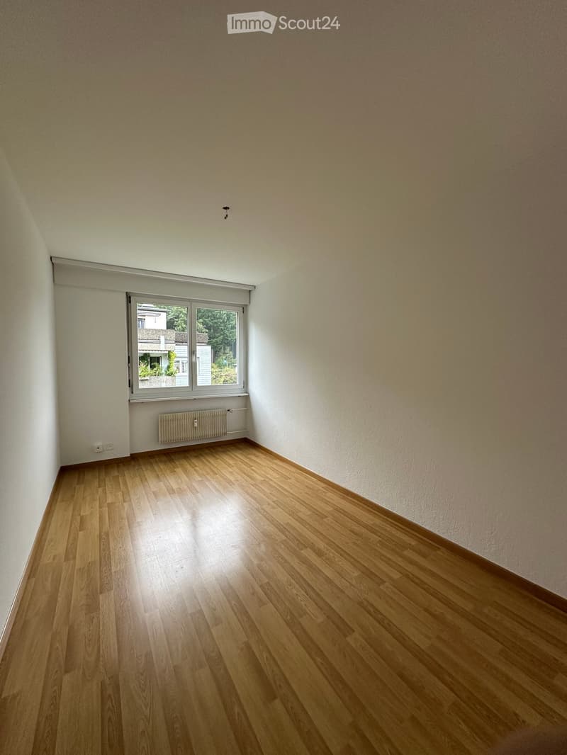 Empty room with wooden flooring, white walls, and a large window with a view of the outside. There is a radiator below the window and a light fixture on the ceiling.