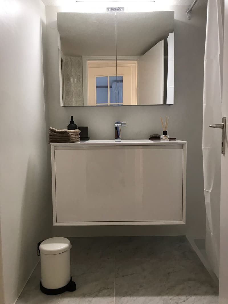 Modern bathroom with a white sink, large mirror, and neatly arranged towels and toiletries on the counter. A toilet is visible in the corner.
