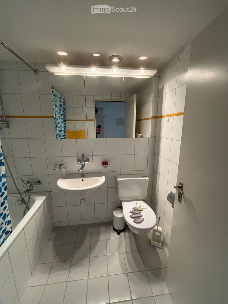 Modern bathroom with white tiles, a sink, toilet, bathtub, and a large mirror with built-in lighting. A decorative arrangement of stones is placed on the toilet seat.