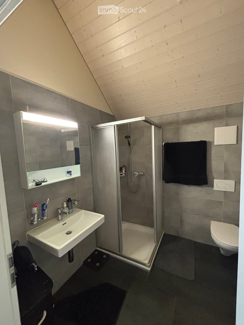 Modern bathroom with a white sink, mirror with built-in lighting, glass-enclosed shower, and a toilet. The walls are tiled in gray, and towels are neatly hung.