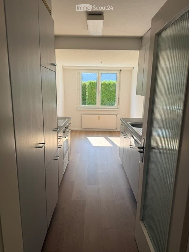 Modern kitchen with light wood flooring, white cabinets, and stainless steel appliances. Large window offers a view of greenery outside.