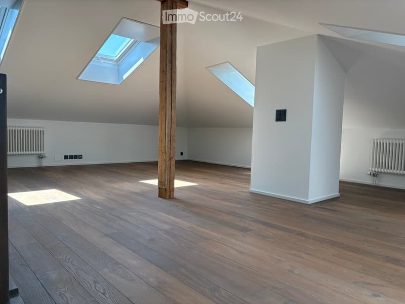 Empty attic space with wooden flooring, white walls, skylights, and radiators.