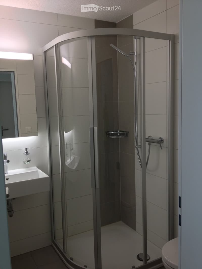 Modern bathroom with a glass-enclosed shower, a white sink with a mirror, and a toilet. The shower features a handheld sprayer and a built-in shelf.