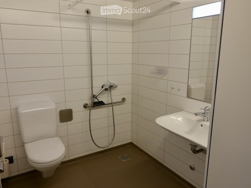 Modern bathroom with white tiled walls, a toilet, a sink with a mirror, and a shower hose with a handheld showerhead.