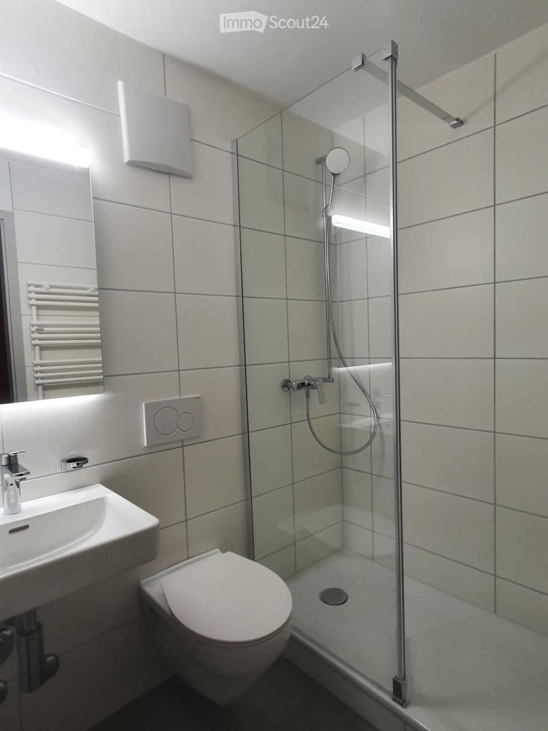 White tiles, modern glass shower enclosure, modern white fixtures, toilet, sink, towel radiator, white light on the wall mirror