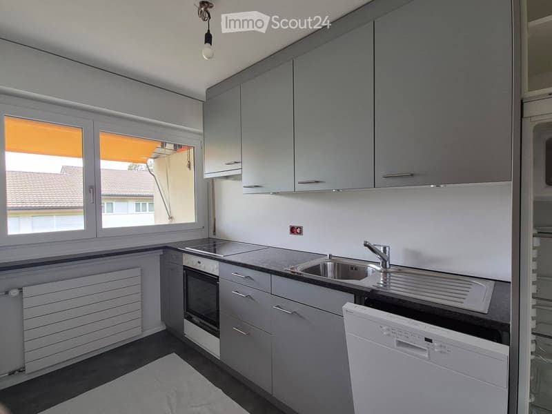 Modern kitchen with grey cabinets, stainless steel sink, oven, dishwasher, and a window with orange blinds.