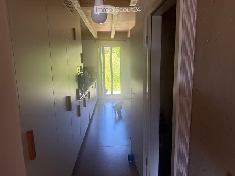 A modern, well-lit hallway with white walls, wooden ceiling beams, and a sleek dark floor. A small dog is walking down the hallway towards a bright doorway leading to a garden area.