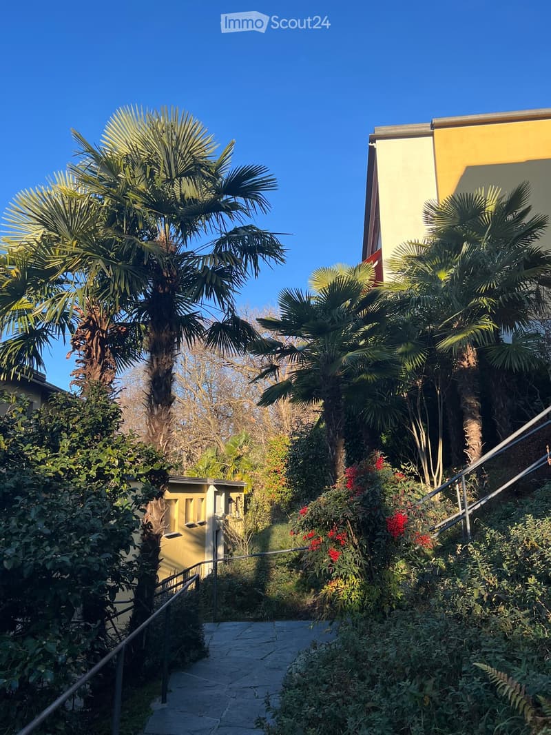 A lush garden area with palm trees, flowering plants, and a pathway leading to a building entrance.