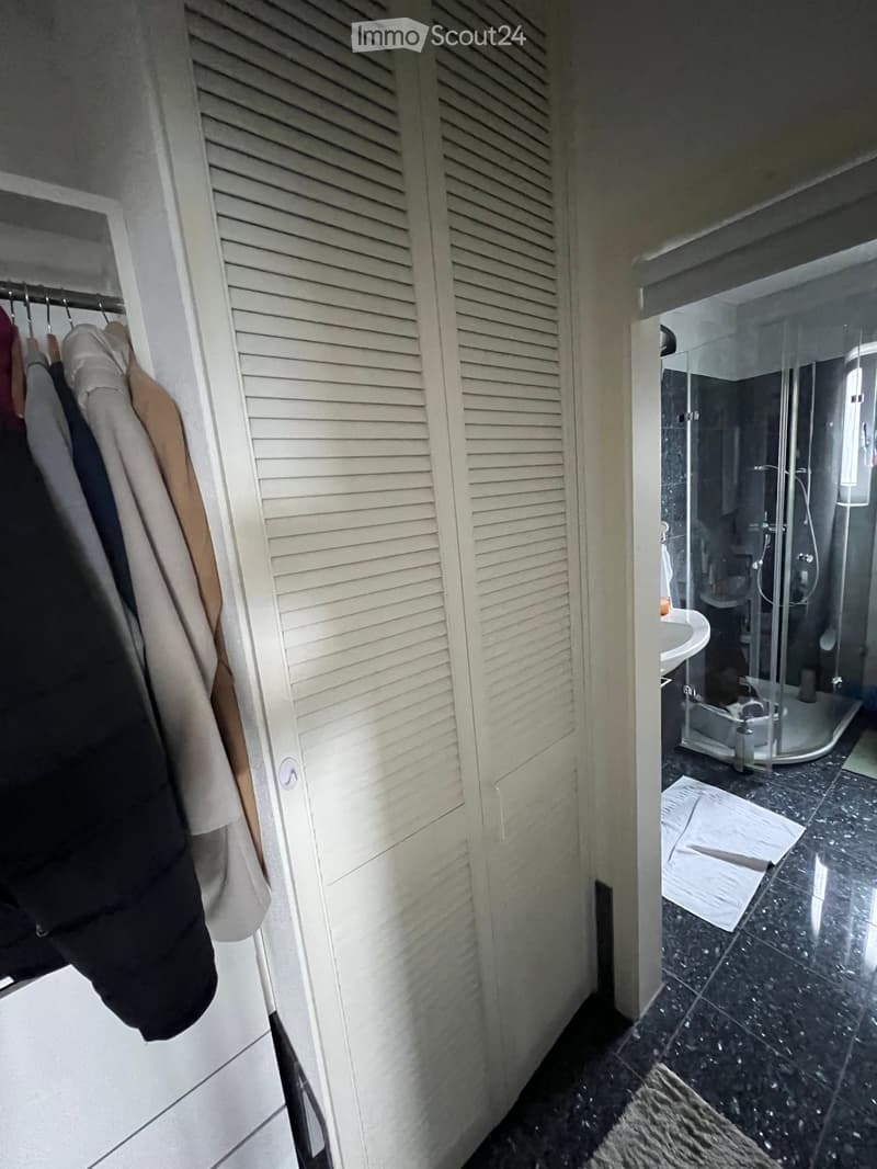Bathroom with a glass-enclosed shower, sink, and mirror. A white closet with clothes is visible to the left.