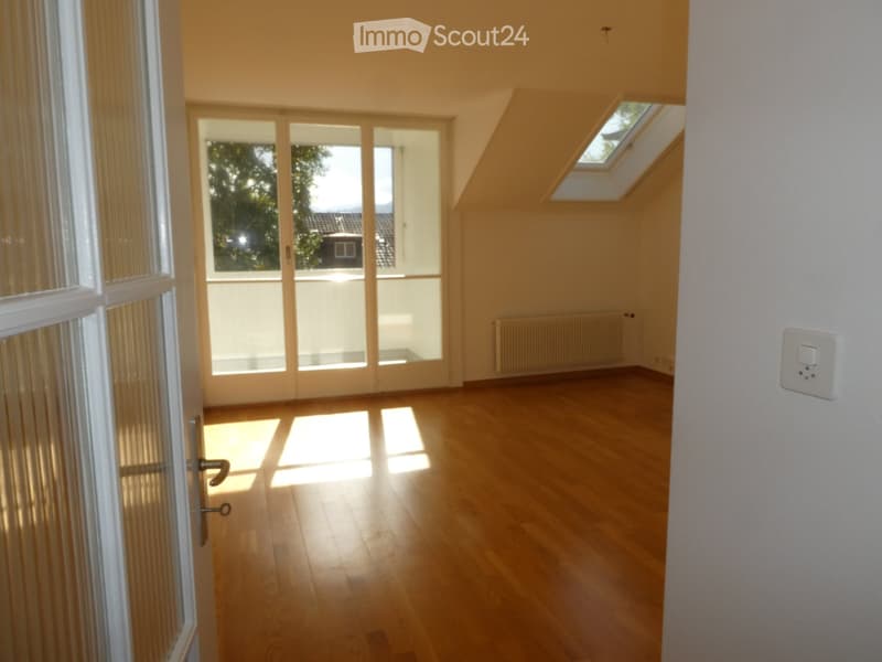 Empty room with wooden flooring, large windows, and a skylight above. No furniture or equipment present.