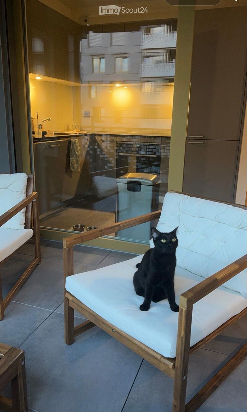 A modern balcony with a white cushioned chair and sofa, a black cat sitting on the sofa, and a view of a kitchen area through a glass door.