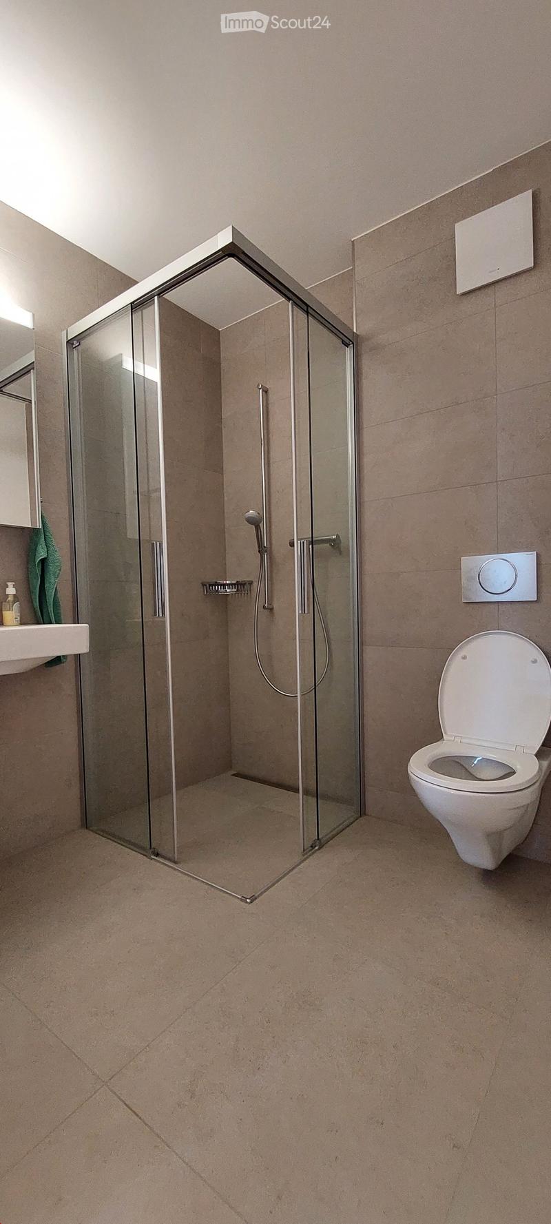 Modern bathroom with a glass-enclosed shower, toilet, sink, and towel on a shelf.