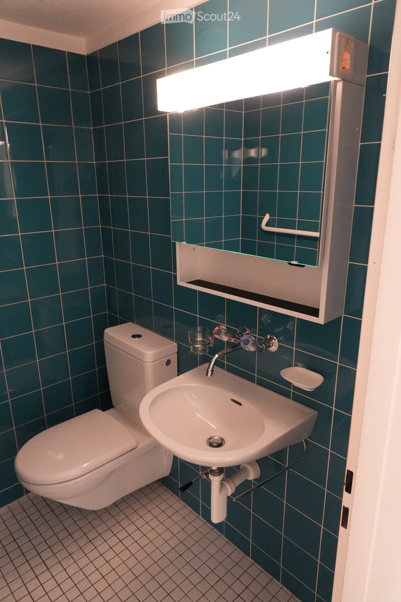 Modern bathroom with dark blue tiled walls, white toilet, sink, and mirror with built-in shelf. Features a sleek light fixture above the mirror.
