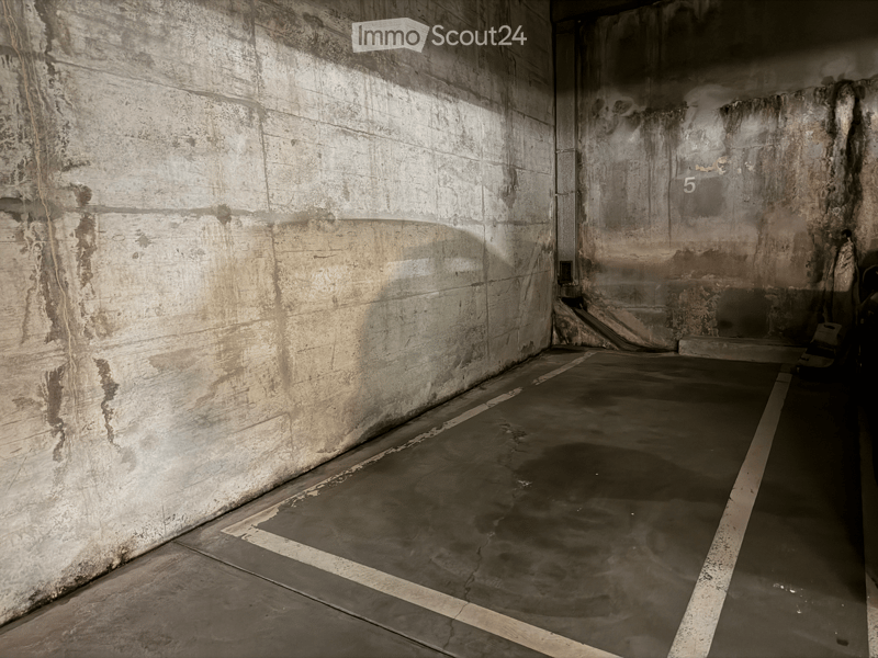 Empty room with concrete walls and floor, marked with number "5" on the wall.