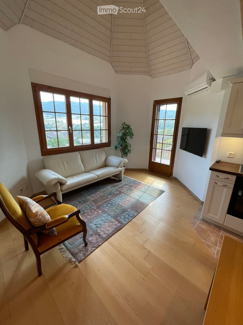 Bright living room with wooden floors, large windows offering a scenic view, a cream-colored sofa, a yellow armchair, a colorful rug, and a small kitchen area with cabinets and a TV.
