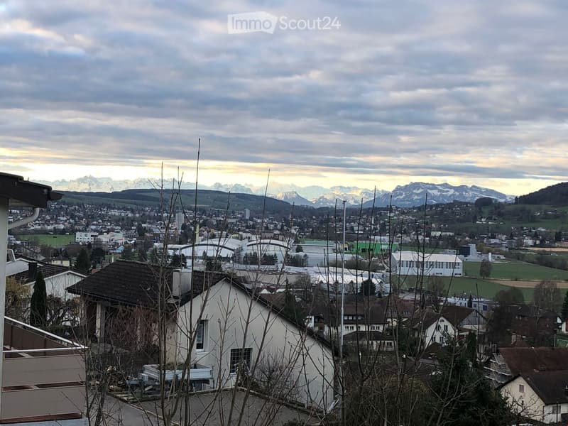 Panoramic view of a town with houses, buildings, and distant snow-capped mountains under a cloudy sky.