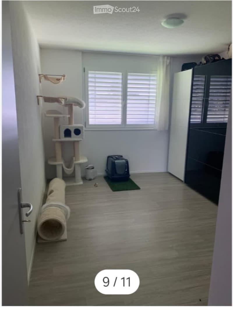 A well-lit room with wooden flooring, featuring a multi-level cat tree, a cat carrier, and a cat tunnel. The room has white walls, a large window with blinds, and a dark-colored cabinet.