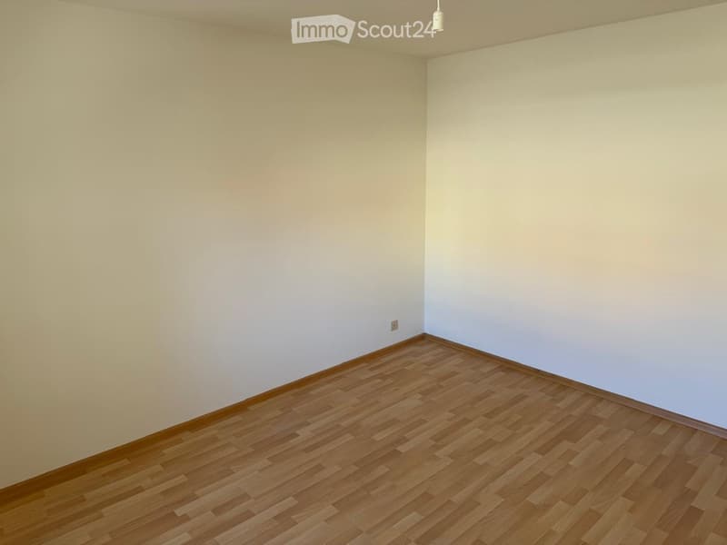 Empty room with light-colored walls and wooden flooring, featuring a single electrical outlet and a ceiling light fixture.