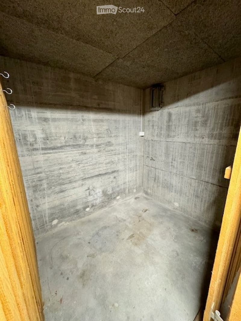 Empty concrete room with bare walls and floor, wooden door frame visible.