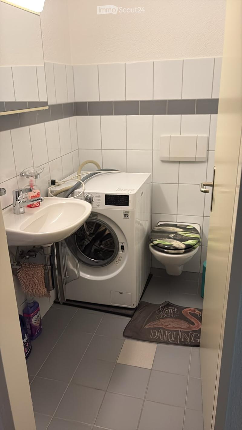 Bathroom with a sink, toilet, washing machine, and a decorative rug on the floor.
