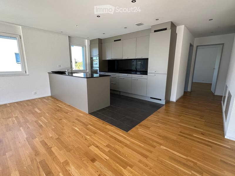 Open kitchen, modern cabinets, central island, black countertop, black tiles under island, windows, power outlets, light wooden floor