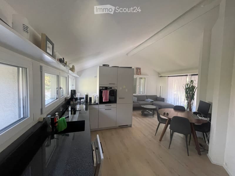 Open-plan kitchen and living area with modern appliances, a sofa, coffee table, dining table, and chairs.