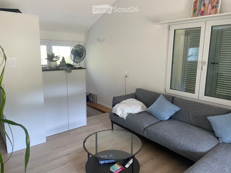 Modern living room with grey sofa, glass coffee table, fan, and small cabinet with plant on top.