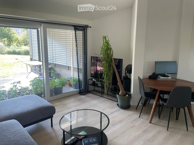 Modern living room with a grey sofa, glass coffee table, dining table with chairs, TV, and a large potted plant near the sliding glass door leading to a garden.