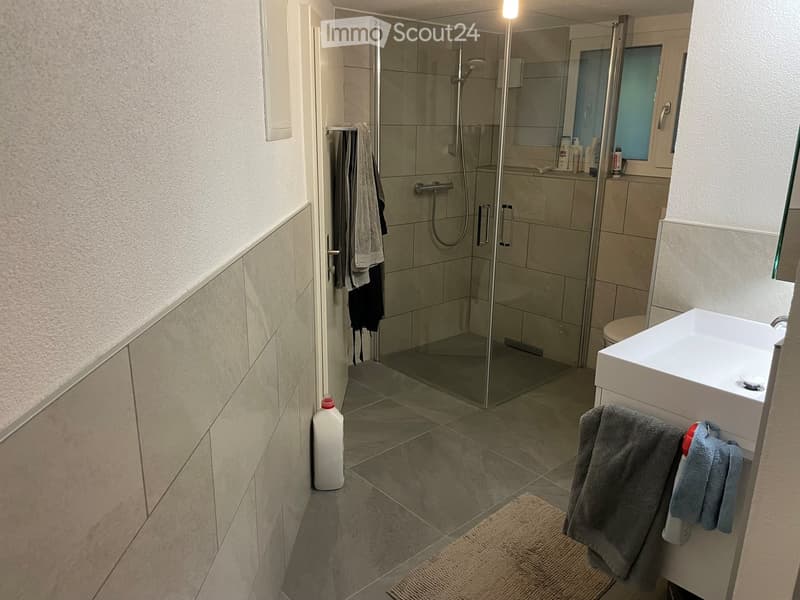 Modern bathroom with a glass-enclosed shower, white sink, toilet, and towels hanging on a rack.