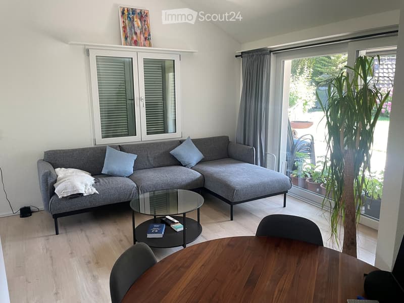 Modern living room with grey sectional sofa, glass coffee table, wooden dining table, and large windows with curtains. Features a painting on the wall and a tall indoor plant near the sliding glass door.