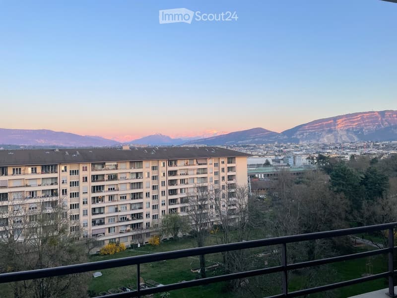 Charming 2-room apartment with large balcony and beautiful view – Geneva, 1202 (4)