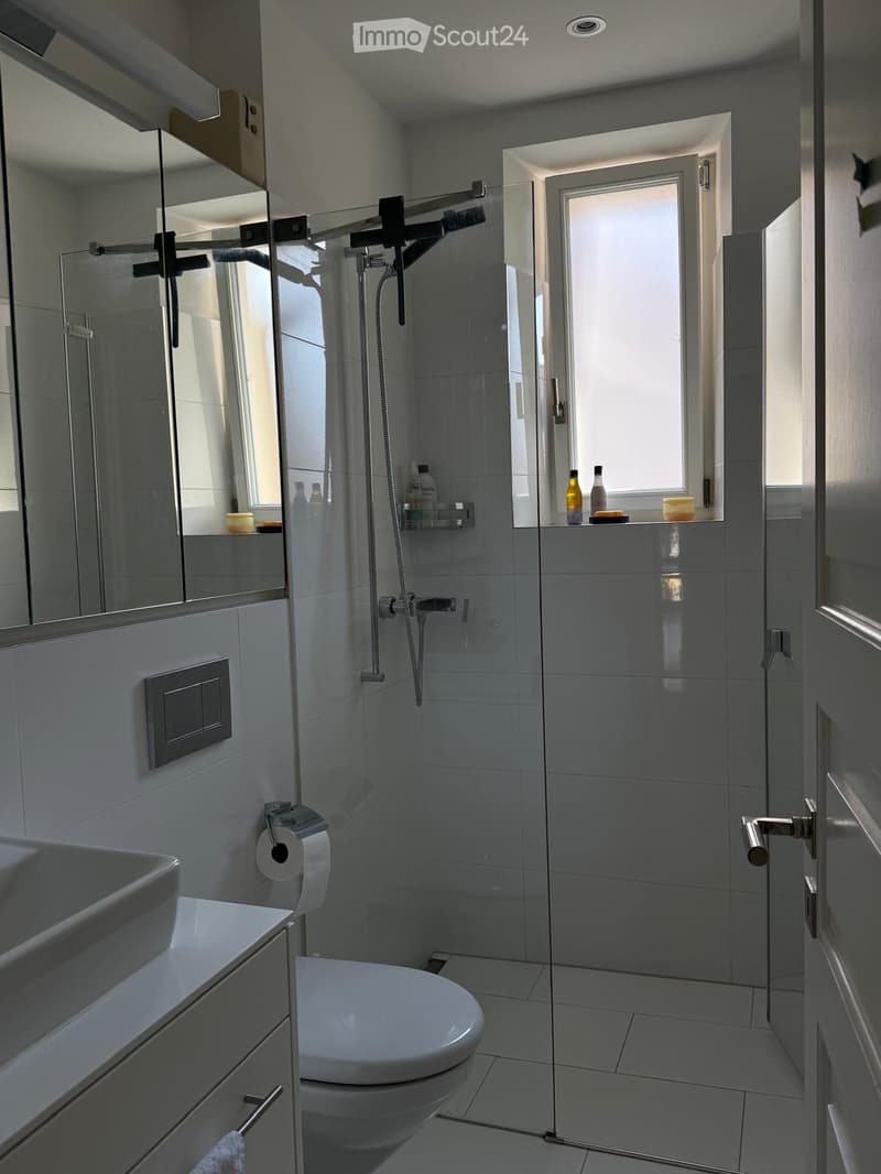 Modern bathroom with a white sink, toilet, shower, and mirror. The shower has a glass enclosure and a handheld showerhead. Bottles and a small container are placed on the windowsill.